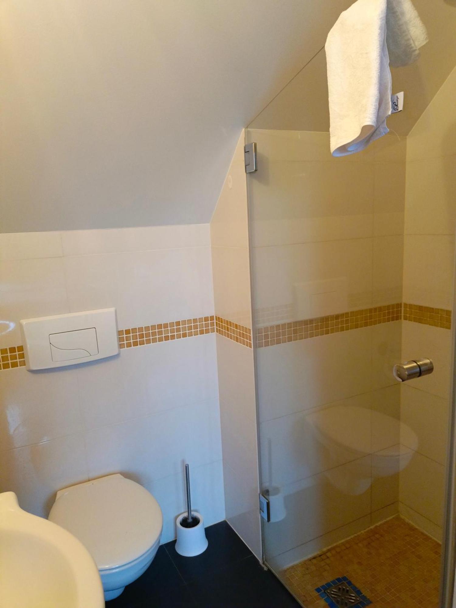 Dwor Pod Rozami Bed & Breakfast Smolec Room photo